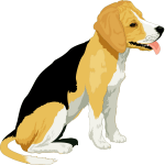 Beagle - drawing